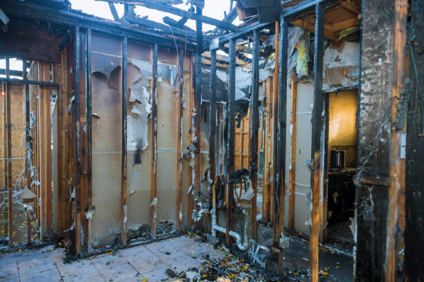 Professional Structural Rebuild technician working in Arlington, MN